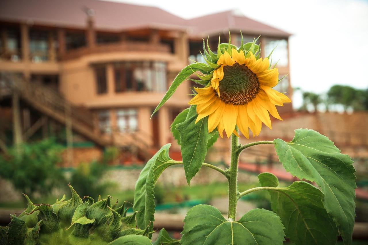 Ngorongoro Marera Mountain View Hotel